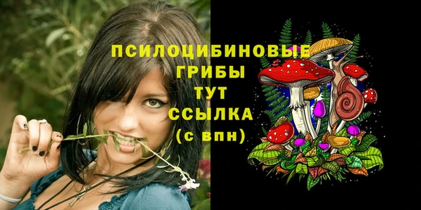 кристаллы Коряжма