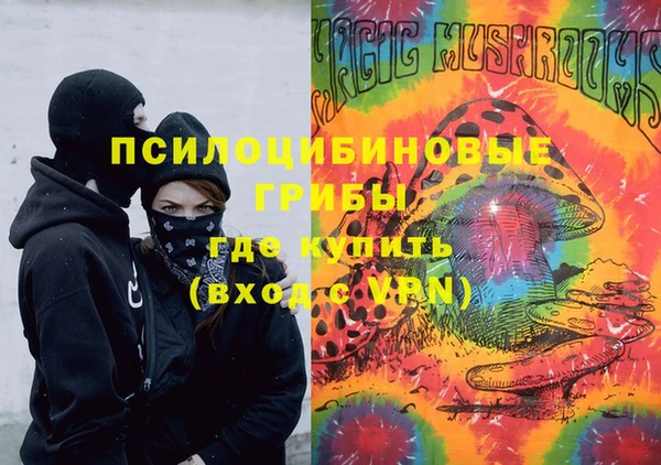 PSILOCYBIN Костерёво