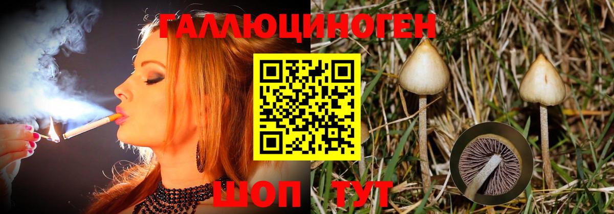 Прокопьевск  Псилоцибиновые грибы Magic Shrooms  Вход с VPN  Галлюциногенные грибы Psilocybine cubensis 